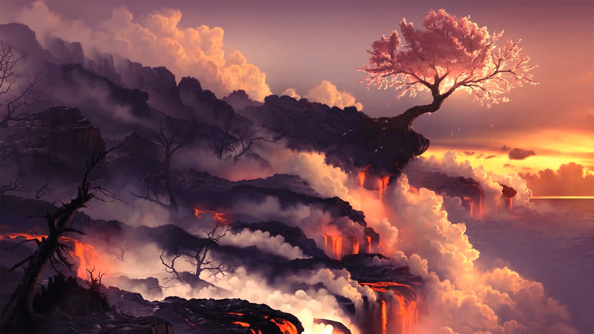Sakura tree