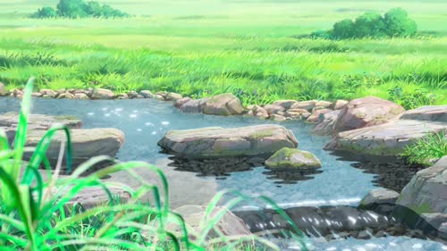 Stream in the meadow
