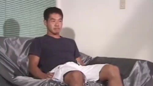 野兽先辈