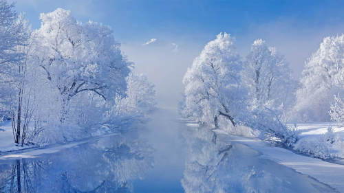 雪景