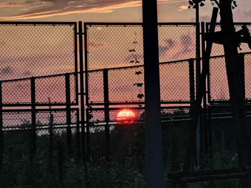 夕阳
