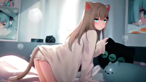 猫