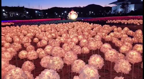 花海