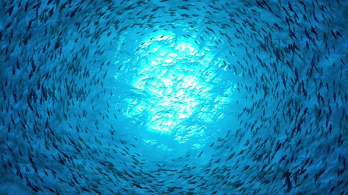 海底星空