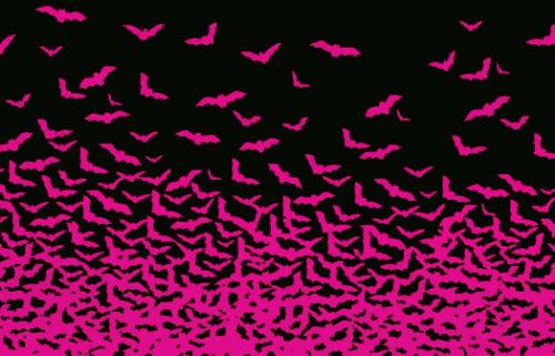 bats