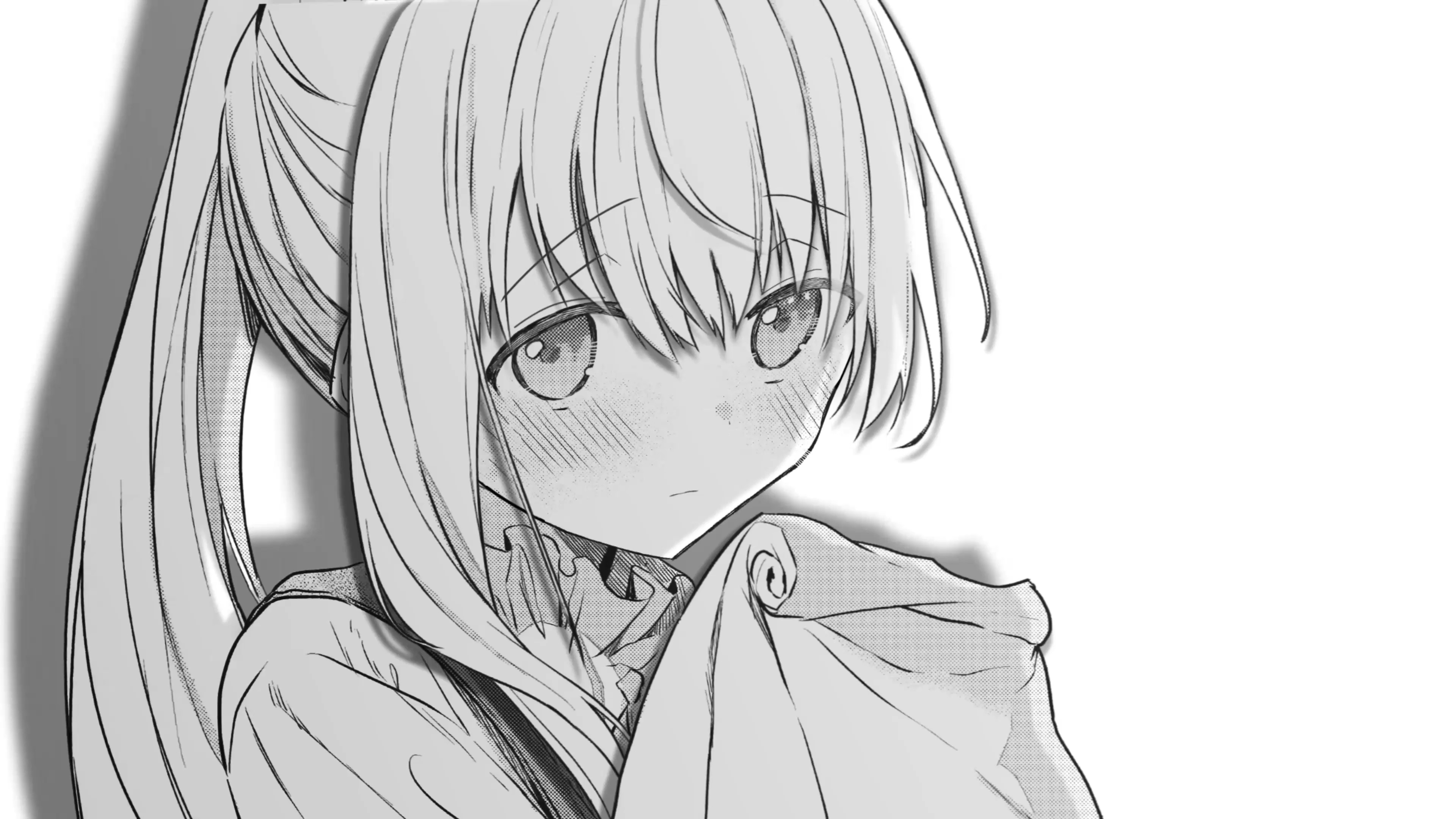 老猫