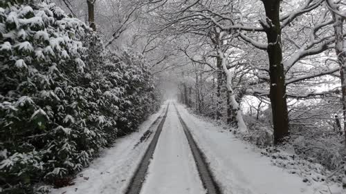 雪