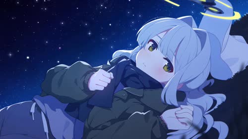 老猫