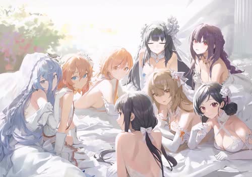 老猫