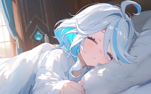 老猫