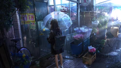 老猫