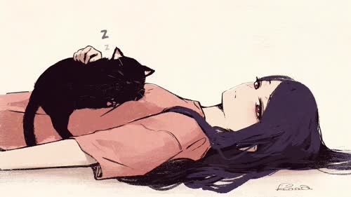 老猫