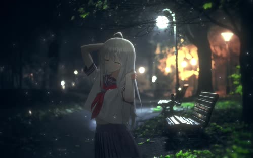 老猫