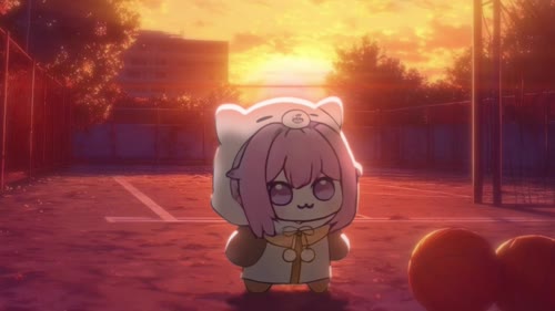 老猫