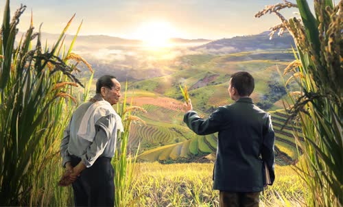 袁隆平-稻下乘凉梦