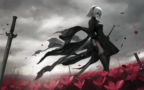 极客云 女剑
