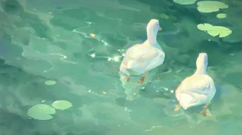 鸭鸭