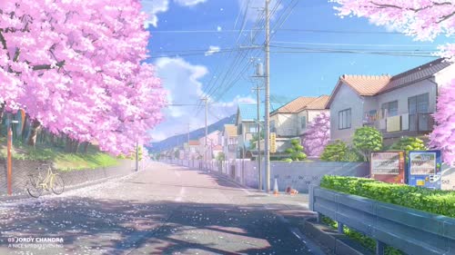 Cherry Blossom