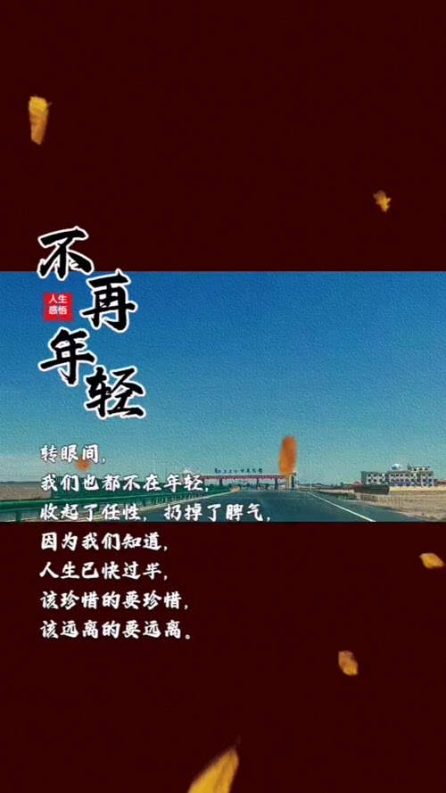 不在年轻