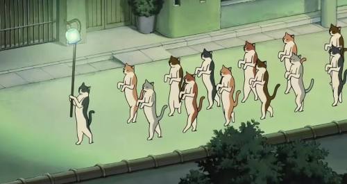 猫猫供奉