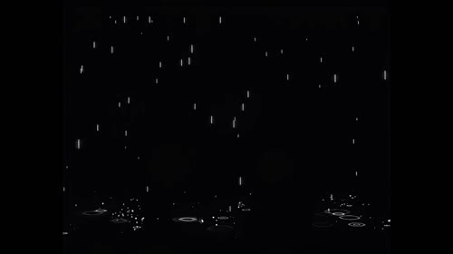 自用
