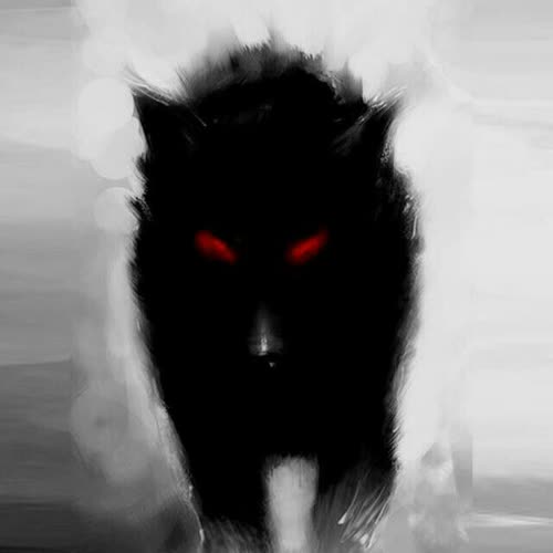 wolf