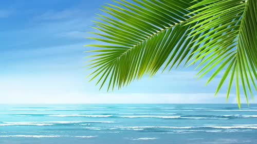 夏日海滩