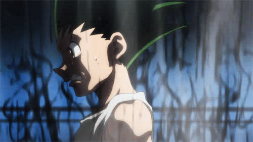 HxH