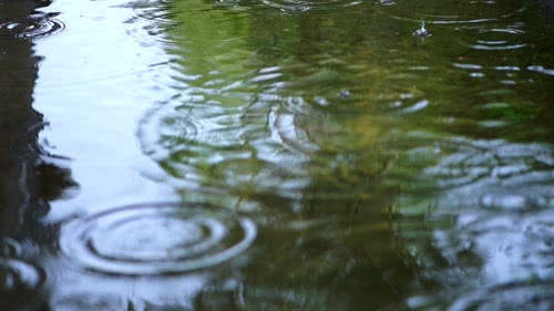 雨