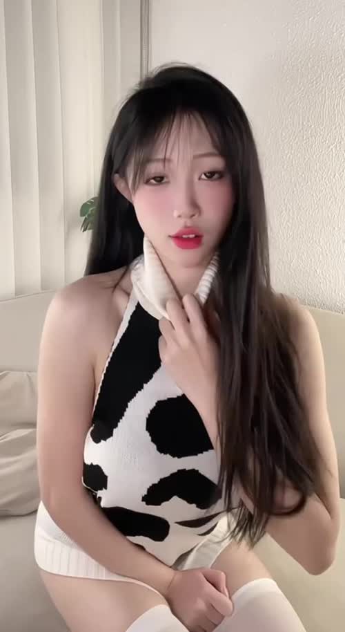 奶牛