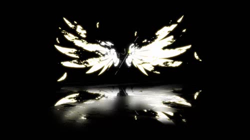 展翅