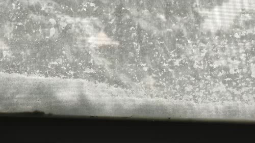 窗边飘雪