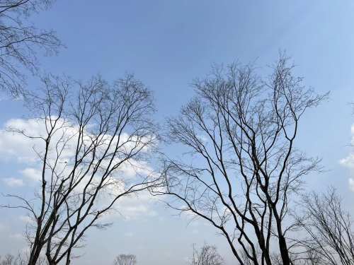 向往天空