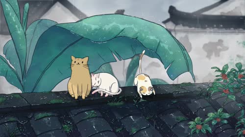 猫咪