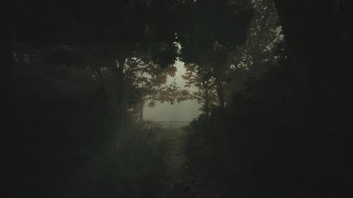 风景