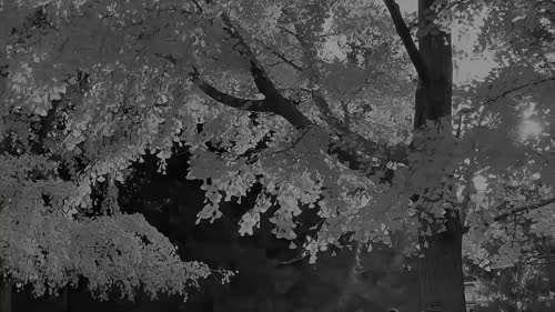那年冬