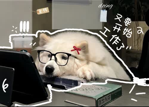 狗狗