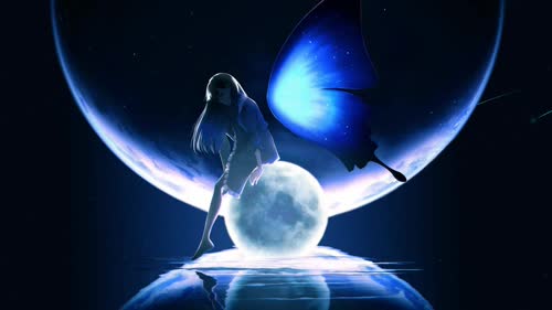 Moon Butterfly-月光蝶