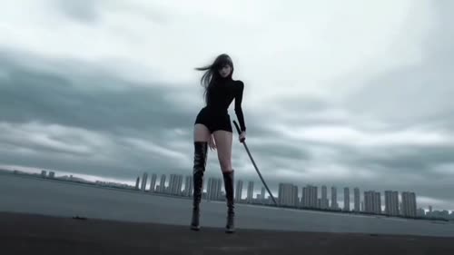 赛博子