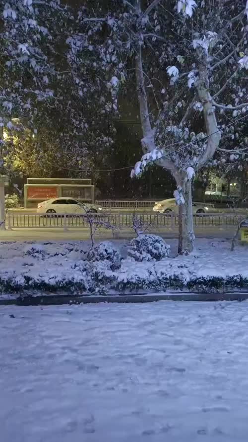 雪夜